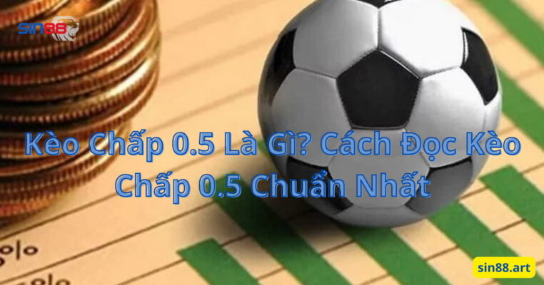 Kèo Chấp 0.5 Là Gì? Cách Đọc Kèo Chấp 0.5 Chuẩn Nhất